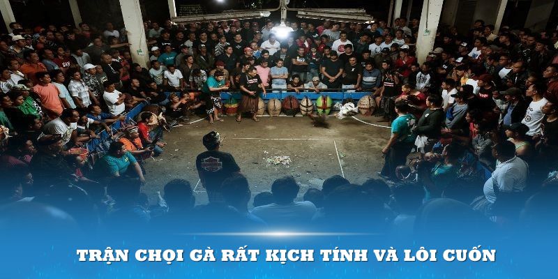 Trận chọi gà giữa hai thần kê diễn ra rất kịch tính và lôi cuốn